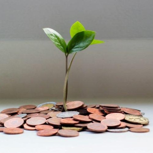 Devis étalie par rênovons avec théophane Michaud, entreprise de rénovation dans l'hérault et le gard